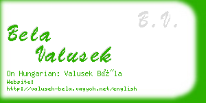 bela valusek business card